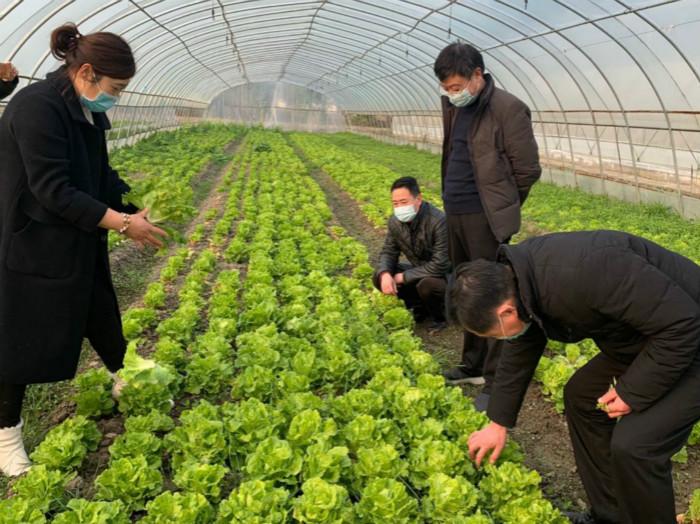 化肥批发:农业发展的强力助燃剂